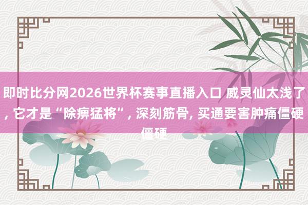 即时比分网2026世界杯赛事直播入口 威灵仙太浅了, 它才是“除痹猛将”, 深刻筋骨, 买通要害肿痛僵硬