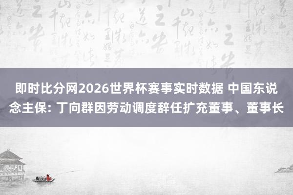 即时比分网2026世界杯赛事实时数据 中国东说念主保: 丁向群因劳动调度辞任扩充董事、董事长