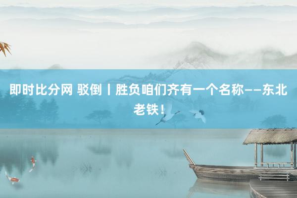 即时比分网 驳倒丨胜负咱们齐有一个名称——东北老铁！