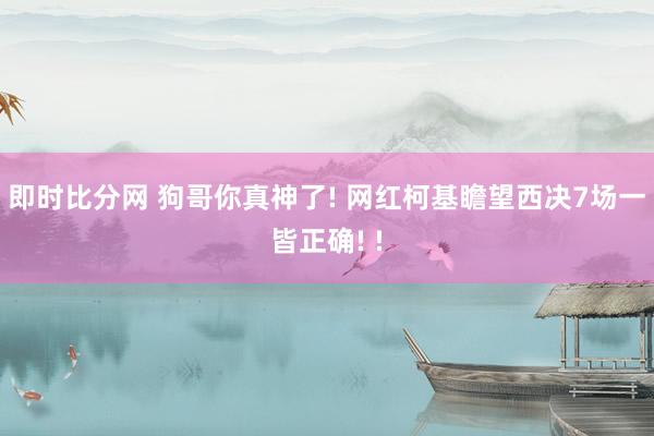 即时比分网 狗哥你真神了! 网红柯基瞻望西决7场一皆正确! !