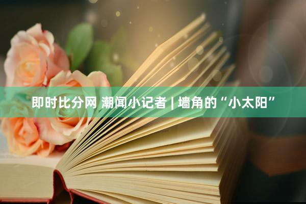 即时比分网 潮闻小记者 | 墙角的“小太阳”